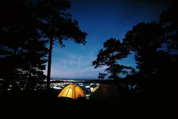 L'influence du vin sur la culture des destinations touristiques : Un regard captivant